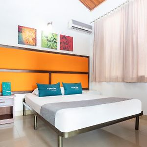Habitación con Cama King